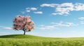 Delicately Rendered Pink Tree In Green Field Stock Photo Royalty Free Stock Photo