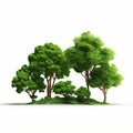 Delicately Rendered Tree Forest: Eco-friendly Craftsmanship In Vibrant Landscapes