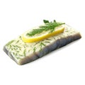 herring fillet, baked with a lemon and herb butter, delicates sea food, isolated on transparent background Royalty Free Stock Photo