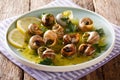 Delicatessen food: edible snails, escargot cooked with butter, p Royalty Free Stock Photo