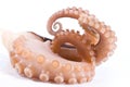 Delicatessen octopus seafood Royalty Free Stock Photo