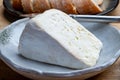 Delice de Bourgogne French cow's milk cheese from Burgundy region of France