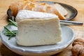 Delice de Bourgogne French cow's milk cheese from Burgundy region of France