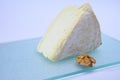 Delice de Bourgogne French cow`s milk cheese from Burgundy region of France