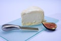 Delice de Bourgogne French cow`s milk cheese from Burgundy region of France