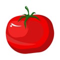 Deliciou red tomatoe