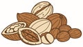 Delicious Almonds and Hazelnuts, Healthy Nut Assortment, vector design Generative AI Royalty Free Stock Photo