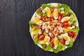 Delicious american cobb salad on plate