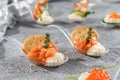 Delicious appetizers with red salmon fish, cheese mousse and salt cracker in glass spoon on grey banquet table. Gourmet food Royalty Free Stock Photo