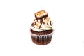 Cupcake isolated on white background. Royalty Free Stock Photo