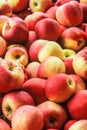 Delicious Apples in the coutryside at a rural farmers market Royalty Free Stock Photo