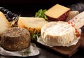 Delicious array of gourmet cheese on a platter Royalty Free Stock Photo