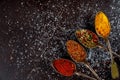 Delicious assortment ground spice ingredients on dark wooden background