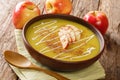 Delicious Austrian apple puree soup with cinnamon close-up in a plate. horizontal Royalty Free Stock Photo