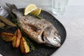 Delicious baked fish served on grey table, closeup. Seafood