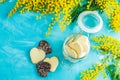 Delicious baked Heart shaped chocolate cookies with coconut chips in glass jar and fresh silver wattle or mimosa Royalty Free Stock Photo
