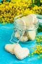 Delicious baked Heart shaped cookies with coconut chips in glass jar and fresh silver wattle or mimosa Royalty Free Stock Photo