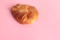 Delicious baked honey bun on a pink background