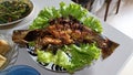 Delicious Baked Patin fish with soysauce Royalty Free Stock Photo