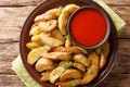 Delicious baked potato wedges with parmesan and oregano, served with pepper sauce close-up on a plate. horizontal top view Royalty Free Stock Photo