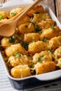 Delicious Baked Tater Tots with cheese, meat and greens close up