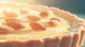 Delicious bakewell tart with almonds in bright light for culinary inspiration Royalty Free Stock Photo