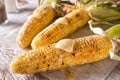 Grilled Corn on the Cob Royalty Free Stock Photo