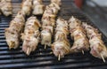 Delicious bbq grilling meat on open grill, outdoor kitchen. Food festival in city. tasty food roasting on skewers, food