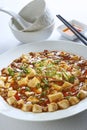 Delicious bean curd cook in sichuan spicy style