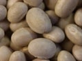 Delicious beans beans healthy natural legumes needed background