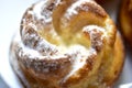 Delicious and beautiful curd rolls on a white plate with sprinkles