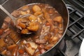 Delicious beef stew cooking in a pot Royalty Free Stock Photo