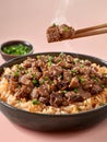 Delicious Beef Teriyaki on Steamed Rice with Sesame Seeds and Green Onions, Japanese Cuisine Concept, Food Photography