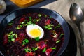 A Delicious beetroot borscht with egg Royalty Free Stock Photo