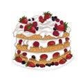 Delicious berry bisquit cake Royalty Free Stock Photo