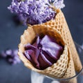 Delicious berry blackberry ice cream in waffle cone, lilac flowers. Color of the year 2022 very peri Royalty Free Stock Photo