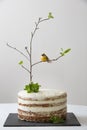 Delicious birthday cake with branch of a tree, birds. Beautiful white carrot cake on the black board for the second birthday party Royalty Free Stock Photo