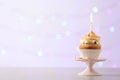 Delicious birthday cupcake with burning candl