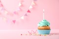 Delicious birthday cupcake with candle