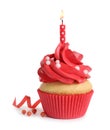 Delicious birthday cupcake with candle isolated Royalty Free Stock Photo