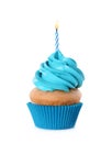 Delicious birthday cupcake with candle isolated Royalty Free Stock Photo