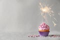 Delicious birthday cupcake with sparkle Royalty Free Stock Photo