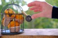 Delicious biscuit cupcakes locked in an iron cage, rustic wooden table, hand reaches for sweets, concept of an outdoor tea party,