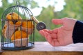 Delicious biscuit cupcakes locked in an iron cage, rustic wooden table, male hand reaches for sweets, concept of an outdoor tea