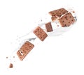 Delicious biscuits with chocolate flavor in milk splashes in the air Royalty Free Stock Photo