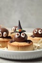 Delicious biscuits with chocolate spiders in tray, closeup. Halloween celebration