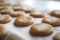 Delicious Biscuits on White Background