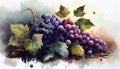 Delicious Black Grapes Bunch Watercolor Painting on Isolated White Background AI Generative Royalty Free Stock Photo