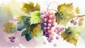 Delicious Black Grapes Bunch Watercolor Painting on Isolated White Background AI Generative Royalty Free Stock Photo