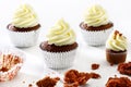 Delicious black-and-white cupcakes Royalty Free Stock Photo